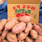 호박고구마