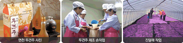 면천 두견주 사진, 두견조 제조 손작업, 진달래 작업