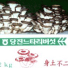 느타리버섯