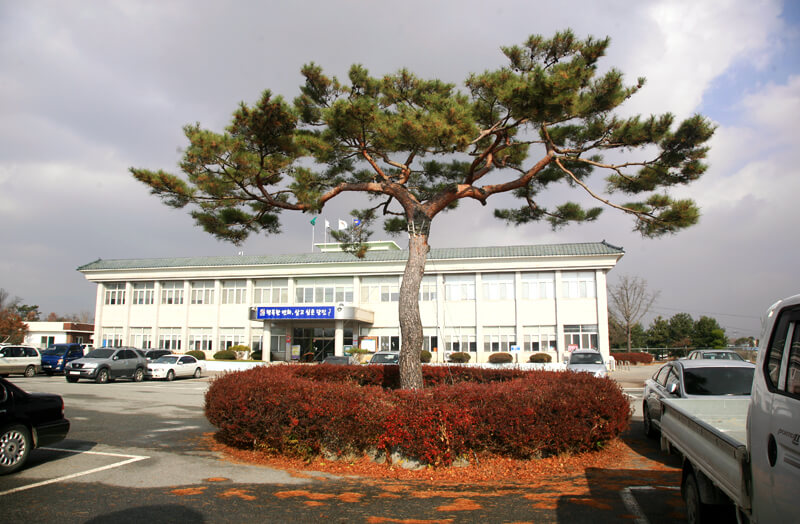 충청남도 당진시 합덕읍 이미지