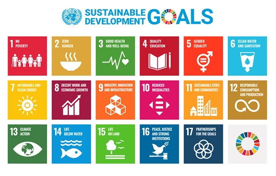 지속가능발전목표(SDGs) 17개 이미지 입니다. 1.모든 형태의 빈곤종결 2.기아해소, 식량안보와 지속가능한 농업발전 3.건강 보장과 모든 연령대 인구의 복지증진 
	4.양질의 포괄적인 교육제공과 평생학습기회 제공 5.성평등 달성과 모든 여성과 여아의 역량강화 6.물과 위생의 보장 및 지속가능한 관리 7.적정가격의 지속가능한 에너지 제공
	8.지속가능한 경제성장 및 양질의 일자리와 고용보장 9.사회기반시설 구축, 지속가능한 산업화 증진 10.국가 내, 국가 간의 불평등 해소 11.안전하고 복원력 있는 지속가능한 도시와 인간거주
	12.지속가능한 소비와 생산 패턴 보장 13.기후변화에 대한 영향방지와 긴급조치 14.해양, 바다, 해양자원의 지속가능한 보존노력 15.육지생태계 보존과 삼림보존, 사막화방지, 생물다양성 유지
	16.평화적, 포괄적 사회증진, 모두가 접근가능한 사법제도와 포괄적 행정제도 확립 17.이 목표들의 이행수단 강화와 기업 및 의회, 국가 간의 글로벌파트너십 활성화