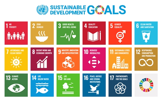 지속가능발전목표(SDGs) 17개 이미지 입니다. 1.모든 형태의 빈곤종결 2.기아해소, 식량안보와 지속가능한 농업발전 3.건강 보장과 모든 연령대 인구의 복지증진
4.양질의 포괄적인 교육제공과 평생학습기회 제공 5.성평등 달성과 모든 여성과 여아의 역량강화 6.물과 위생의 보장 및 지속가능한 관리 7.적정가격의 지속가능한 에너지 제공
8.지속가능한 경제성장 및 양질의 일자리와 고용보장 9.사회기반시설 구축, 지속가능한 산업화 증진 10.국가 내, 국가 간의 불평등 해소 11.안전하고 복원력 있는 지속가능한 도시와 인간거주
12.지속가능한 소비와 생산 패턴 보장 13.기후변화에 대한 영향방지와 긴급조치 14.해양, 바다, 해양자원의 지속가능한 보존노력 15.육지생태계 보존과 삼림보존, 사막화방지, 생물다양성 유지
16.평화적, 포괄적 사회증진, 모두가 접근가능한 사법제도와 포괄적 행정제도 확립 17.이 목표들의 이행수단 강화와 기업 및 의회, 국가 간의 글로벌파트너십 활성화