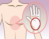 압박위치 손꿈치 중앙을 양쪽 젖꼭지 사이의 부의 정중앙 에 놓고 손가락이 늑골이 닿치 않도록 하는 이미지.