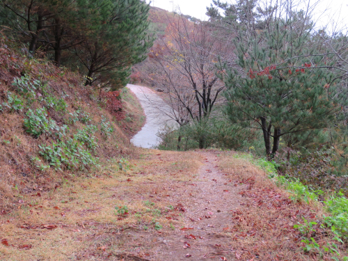 증식온실 뒤 산책로