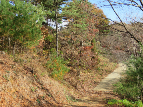 증식온실 뒤 산책로
