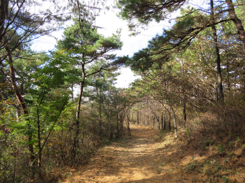 등산로 철탑 주변