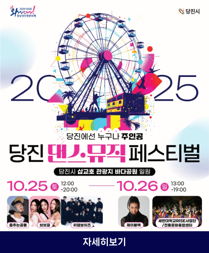 당진 댄스뮤직 페스티벌