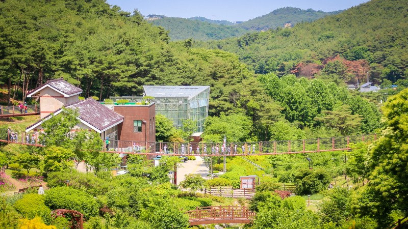 힐링 일번지인 삼선산수목원 사진