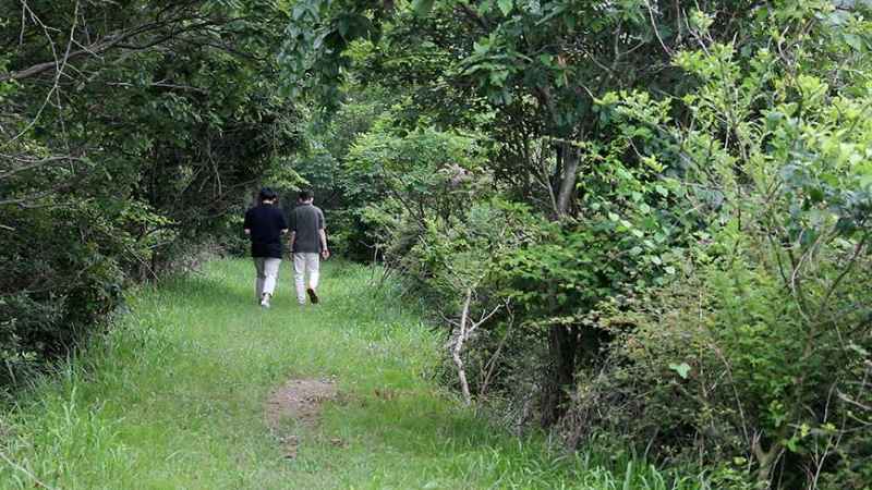 난지섬둘레길 이미지