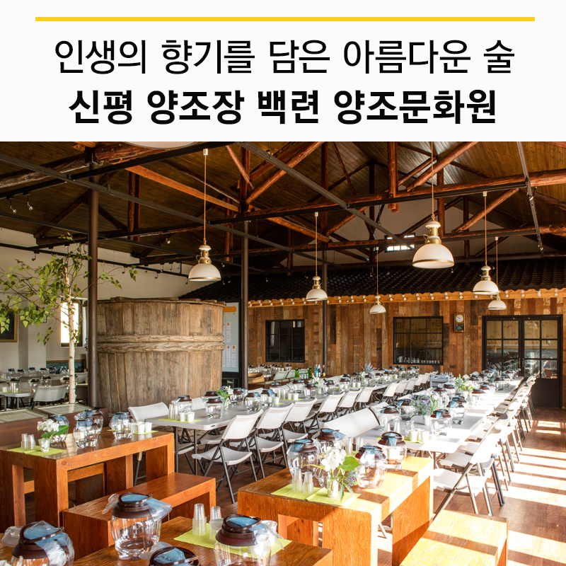플러그인당진 당진시 신평양조장 술 빚기 체험! > 플러그인당진