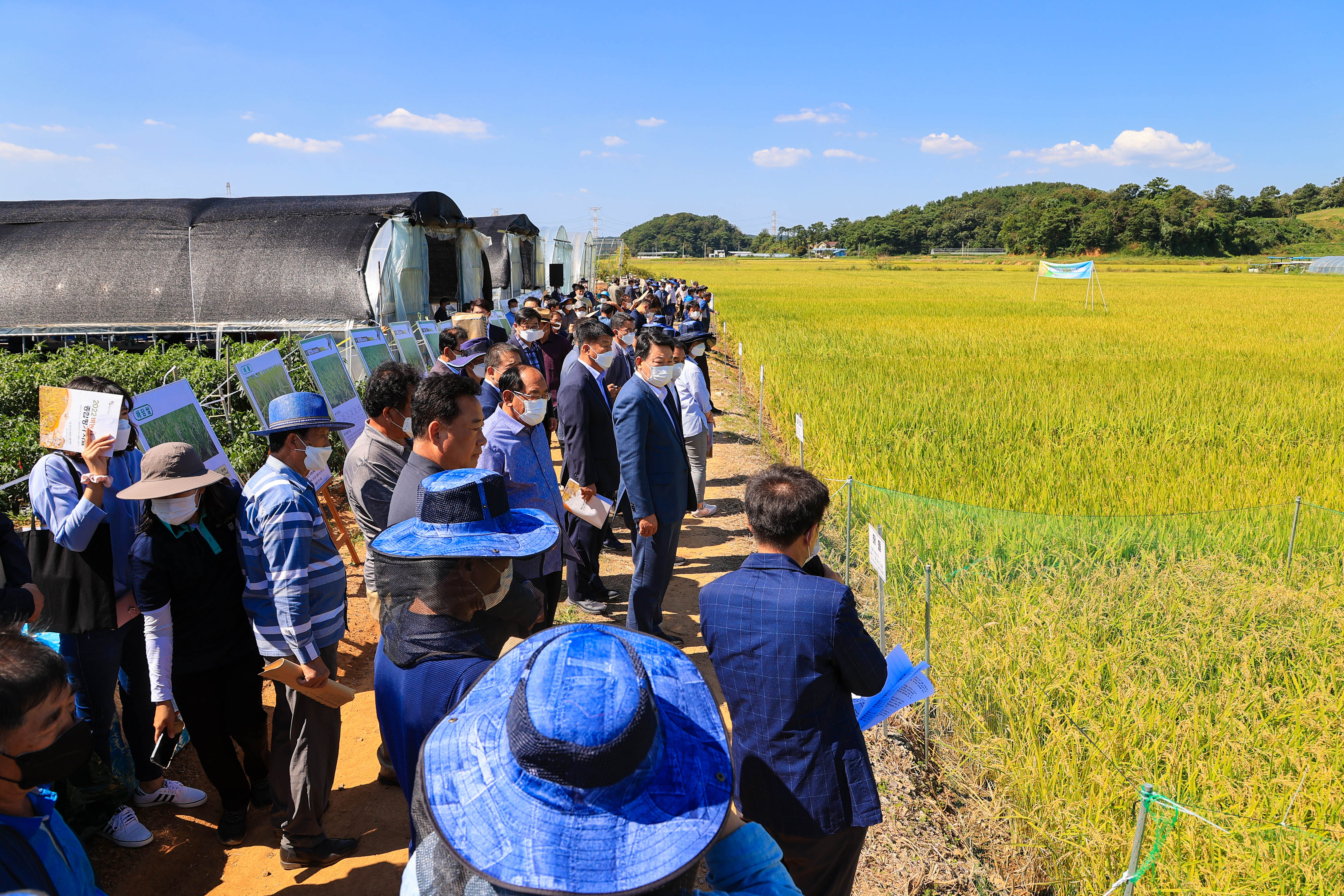 2022 벼농사 종합평가회