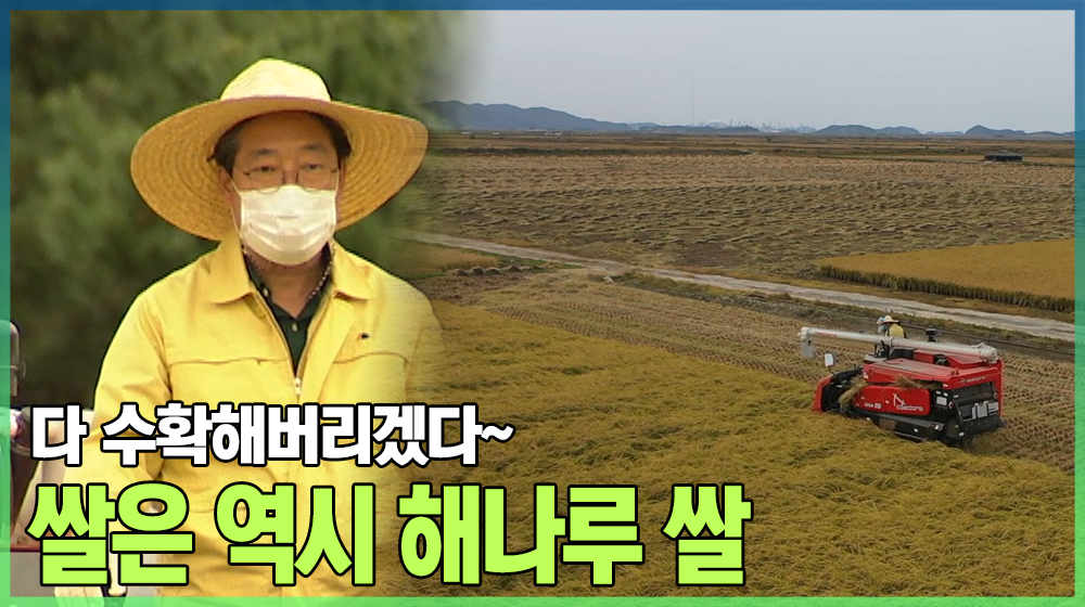 쌀은 역시 당진쌀이 맛있습니다