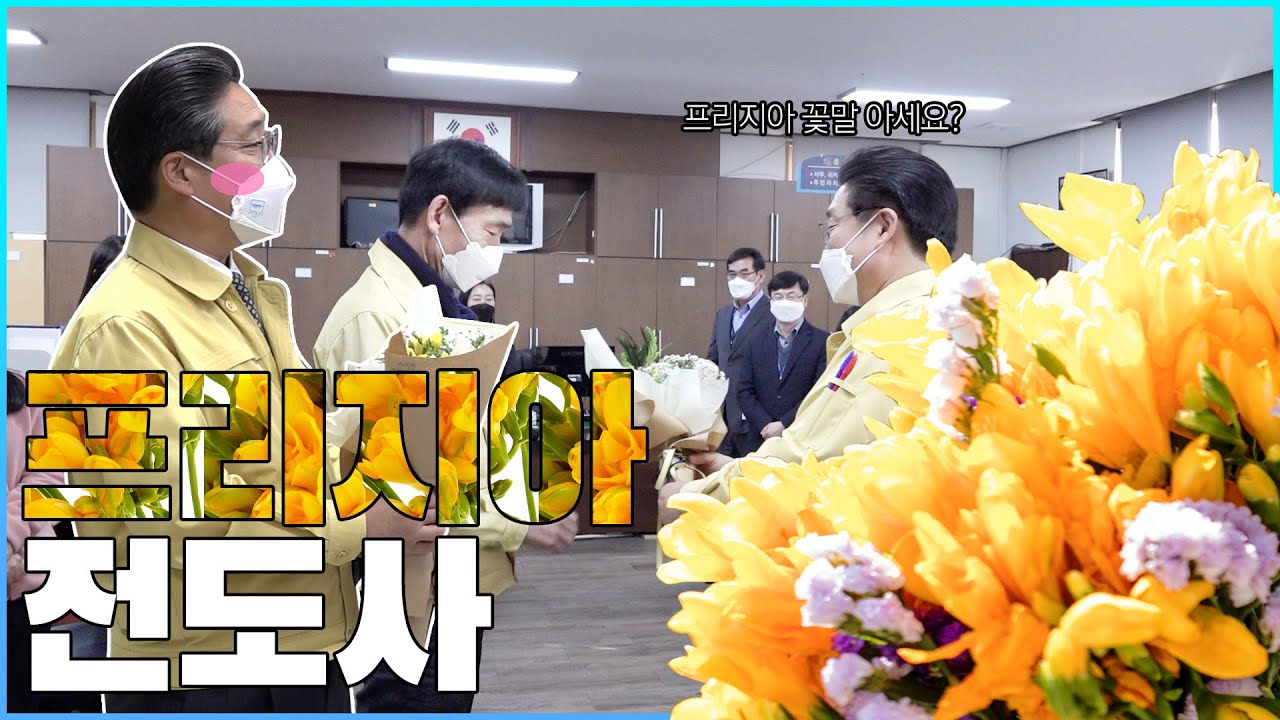 격려에는 꽃다발... 프리지아의 꽃말을 아시나요?