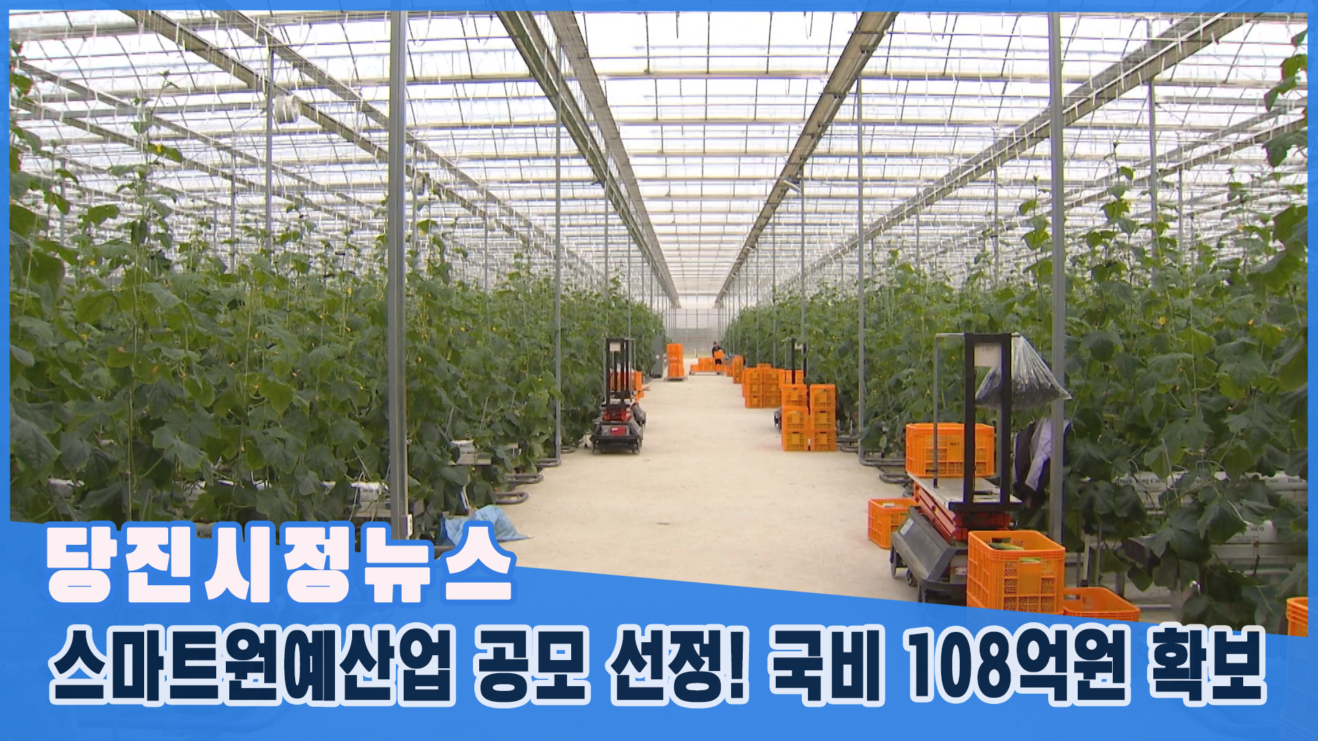 당진시정뉴스 -  3월 1주