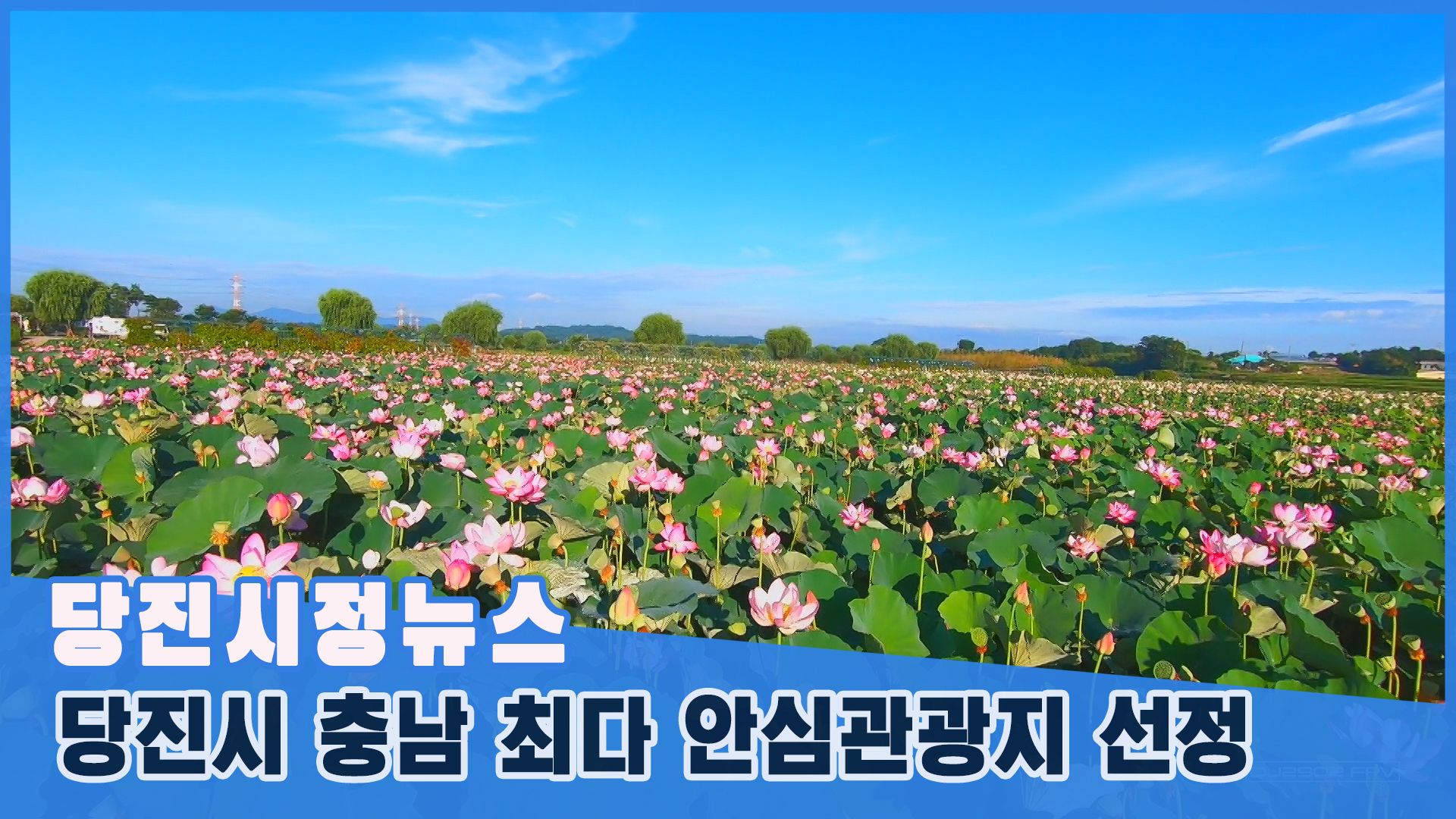 당진시정뉴스-6월 2주 이미지