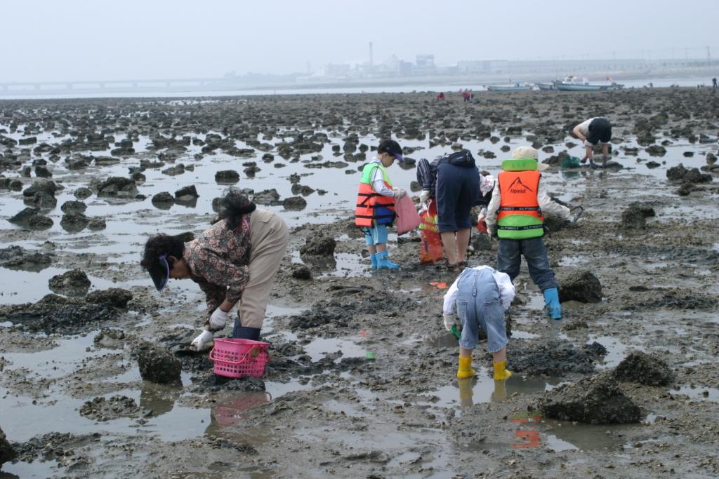 이번 주말, 바지락 캐러 한진포구로 오세요! 이미지
