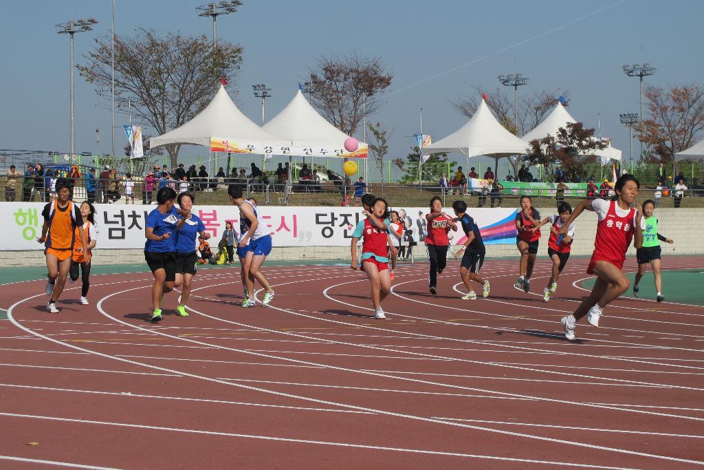 제2회 당진시민체육대회, 시민 화합의 장으로 이미지