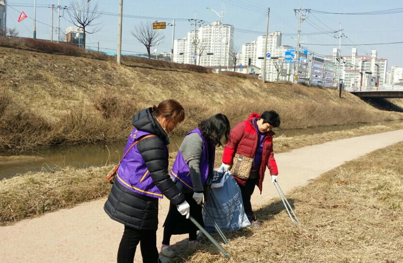 당진시여성단체협의회, 당진천 청결활동 전개 이미지