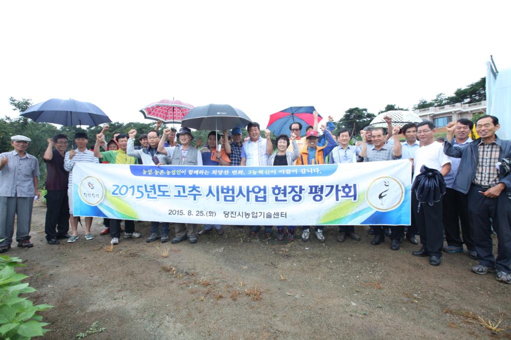 당진시, 고추시범사업 현장평가회 개최 이미지