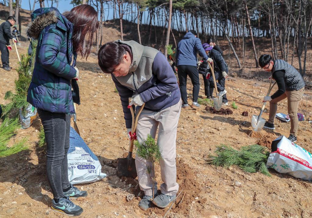 숲을 사랑하는 가장 확실한 방법 이미지