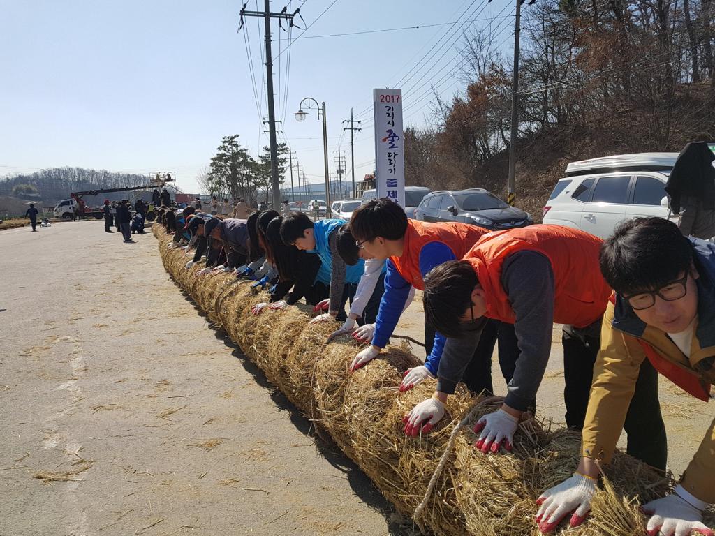 기지시줄다리기 큰 줄 14~15일 제작 이미지