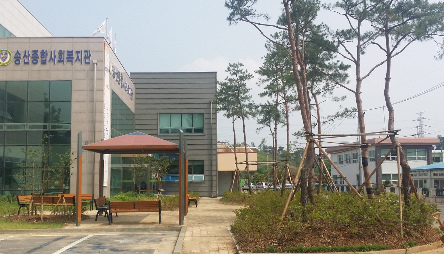 나눔 숲 조성으로 녹색공간 확충 이미지