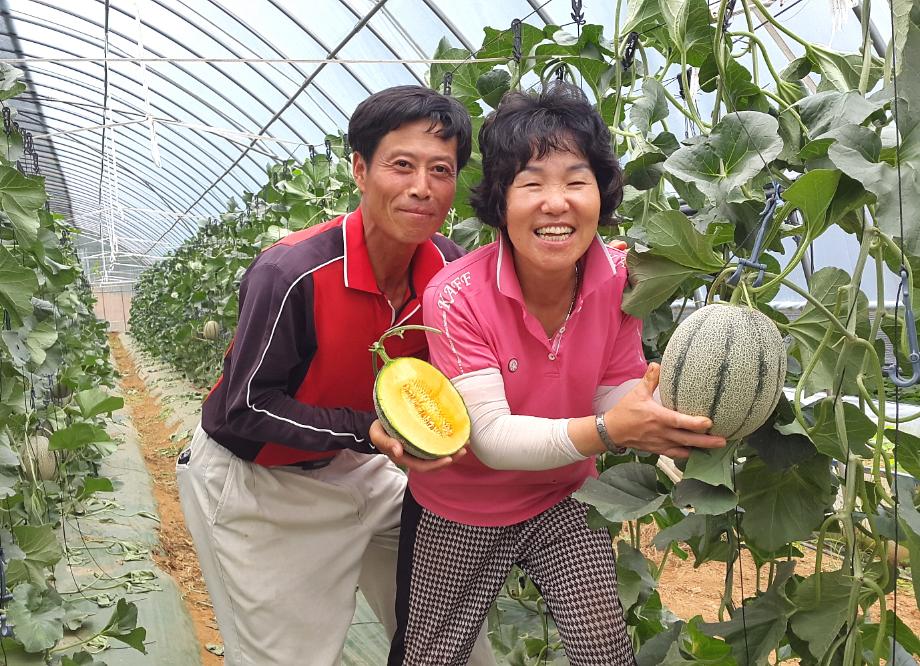 칸탈로프 멜론 먹고 젊어지자! 이미지