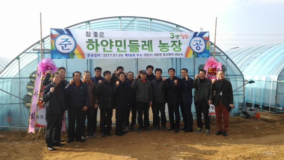 쌀 대신 민들레로 부농의 꿈 주렁주렁 이미지