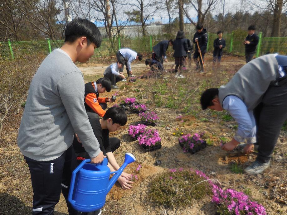 당진시, 학교4-H회 꽃가꾸기 활동 지원 이미지