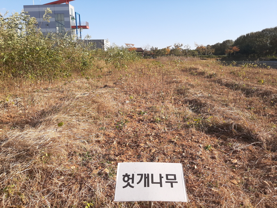 당진시, 지속가능한 미래발전을 위한 밀원 조성