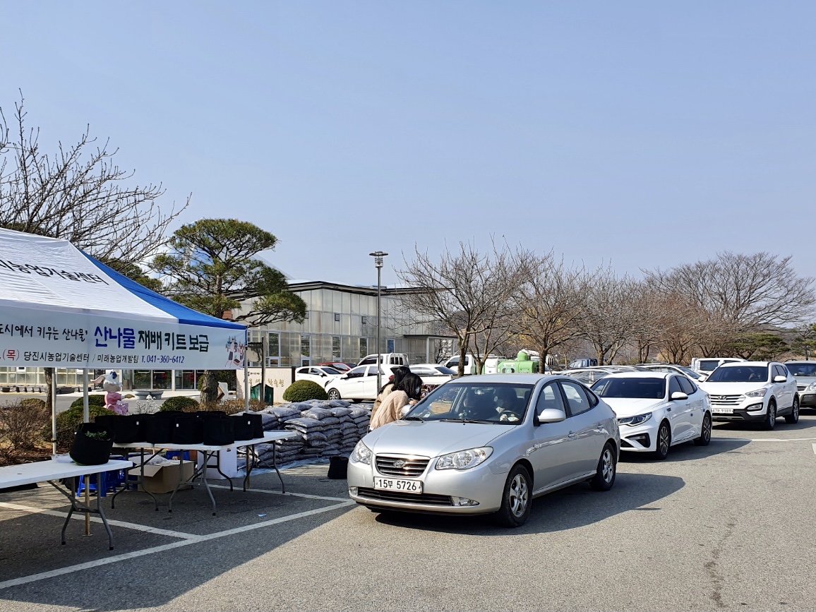 당진시, 산나물 재배 키트를 활용한 가정 내 도시농업 보급