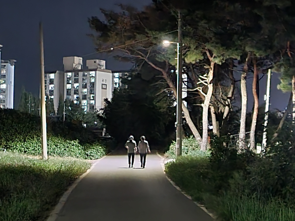 당진 신평면, 위험 사각지대 해소 위해 팔 걷어