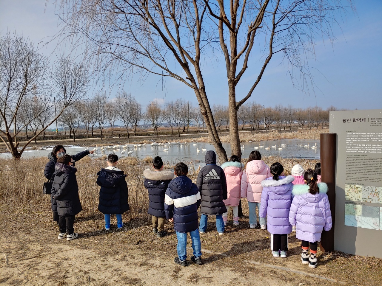당진 합덕제 찾은 큰고니 보며 걸어요~
