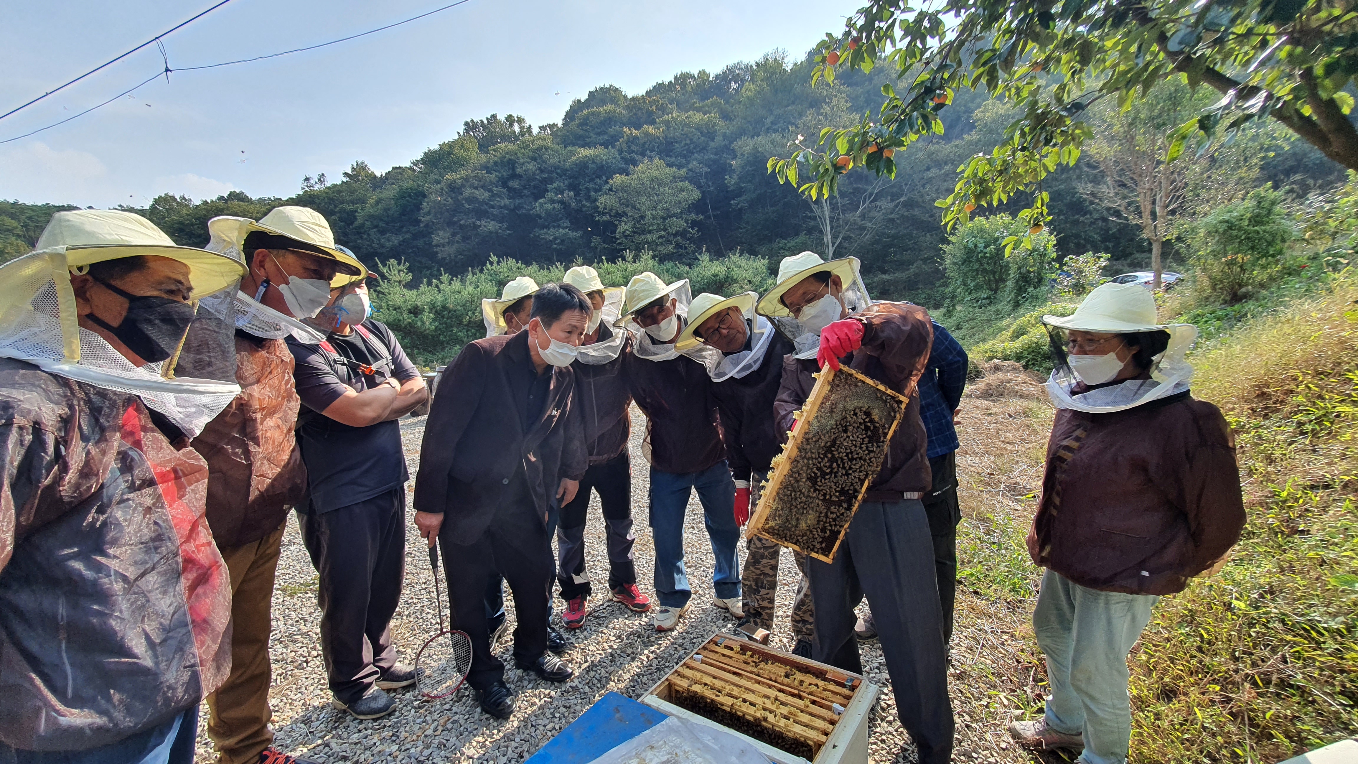 당진시, 양봉산업 지속성장 위한 전문 인력 교육생 모집 이미지