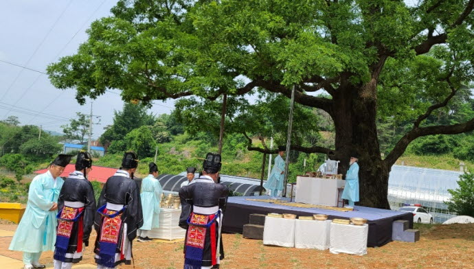 당진시 송산면, 회화나무와 함께하는 안녕기원제 개최
