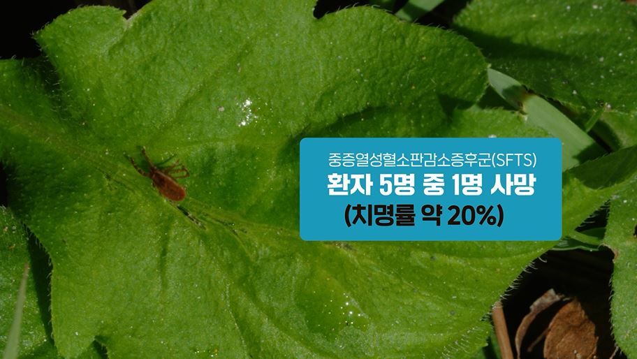 당진시, 야외활동시‘진드기 매개 감염병 예방수칙 준수’당부 이미지