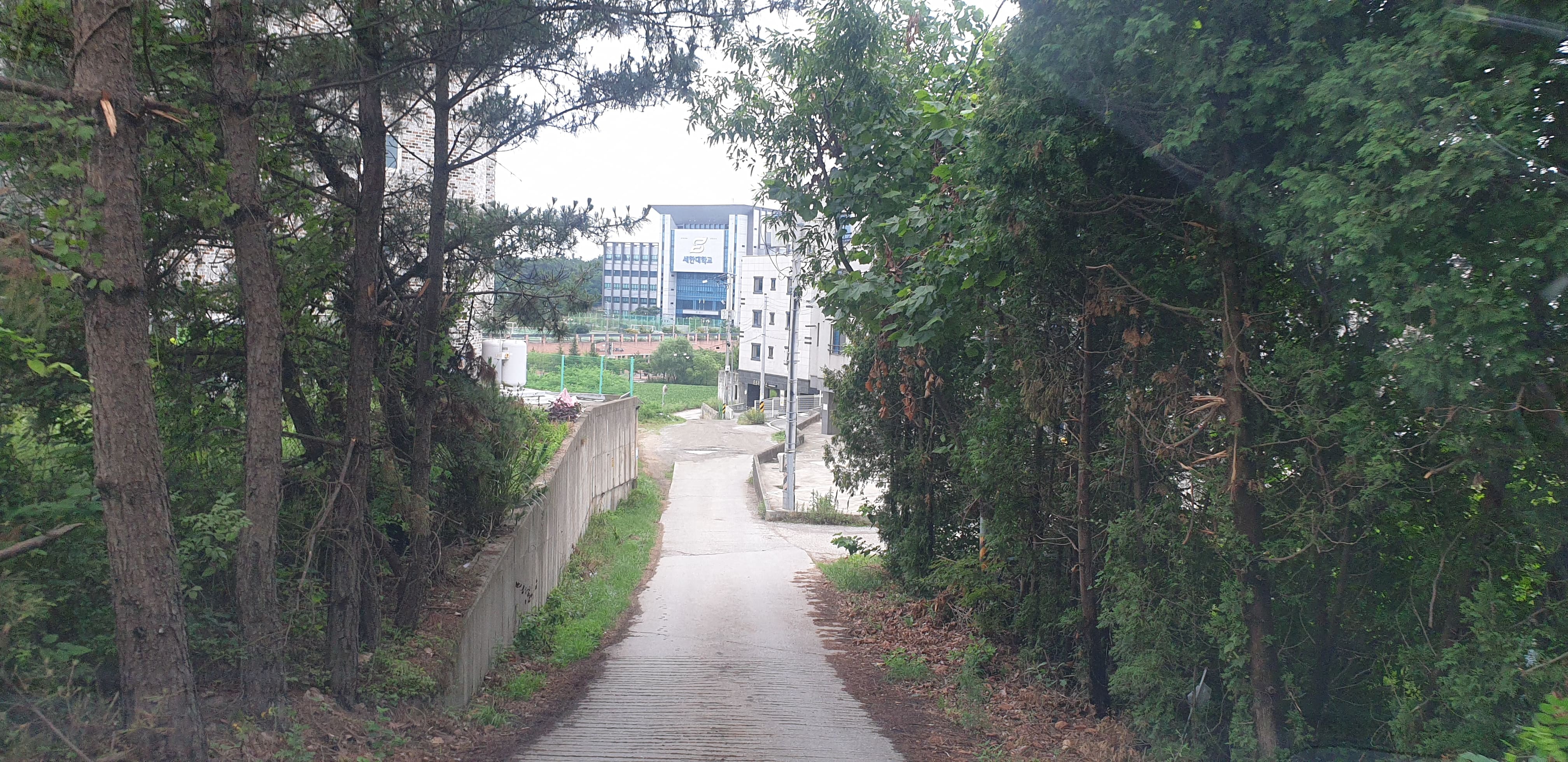 당진시, 세한대 앞 도시계획도로 7월 발주 이미지