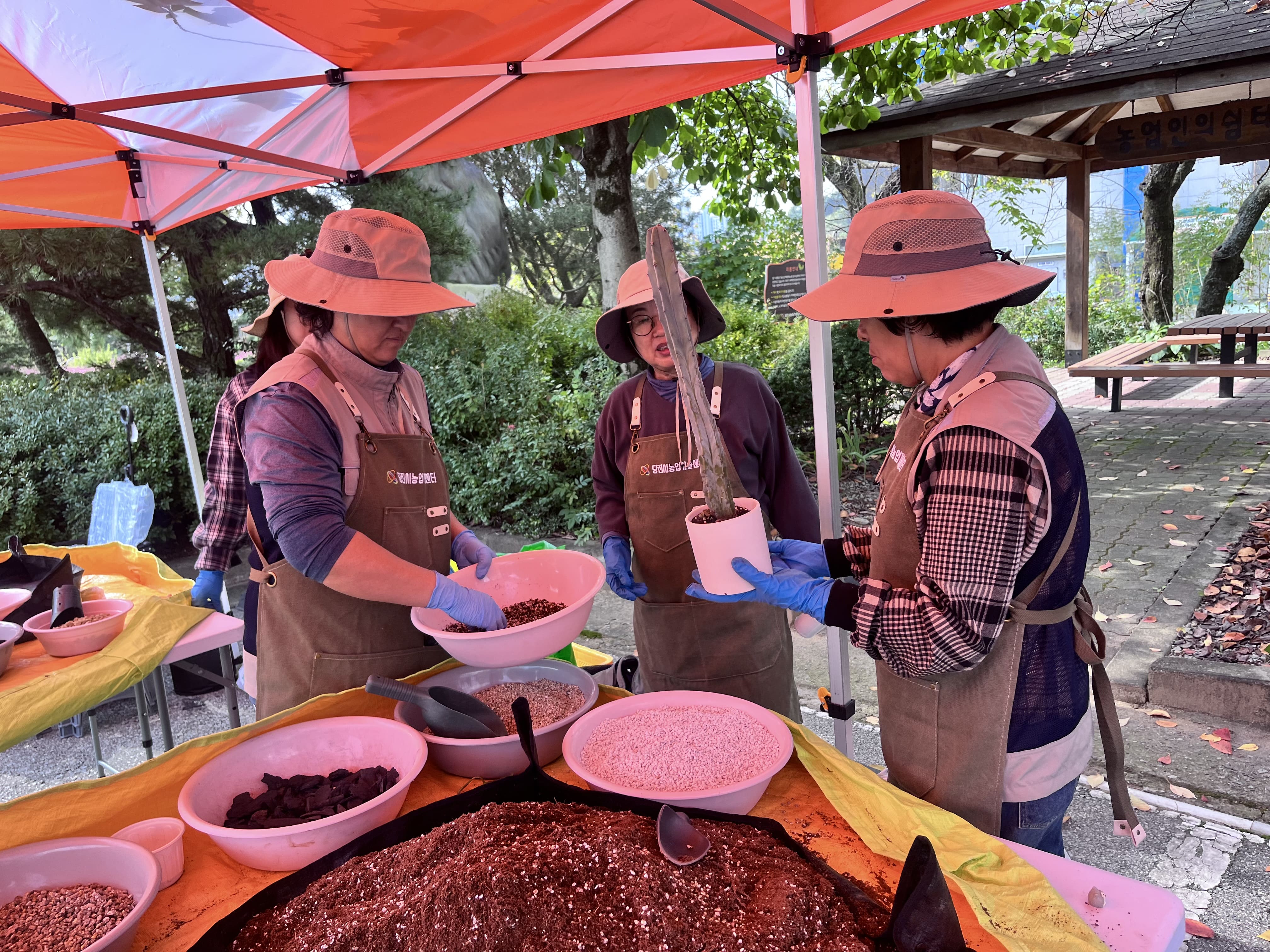 당진시, 11월 반려식물 클리닉 서비스 운영