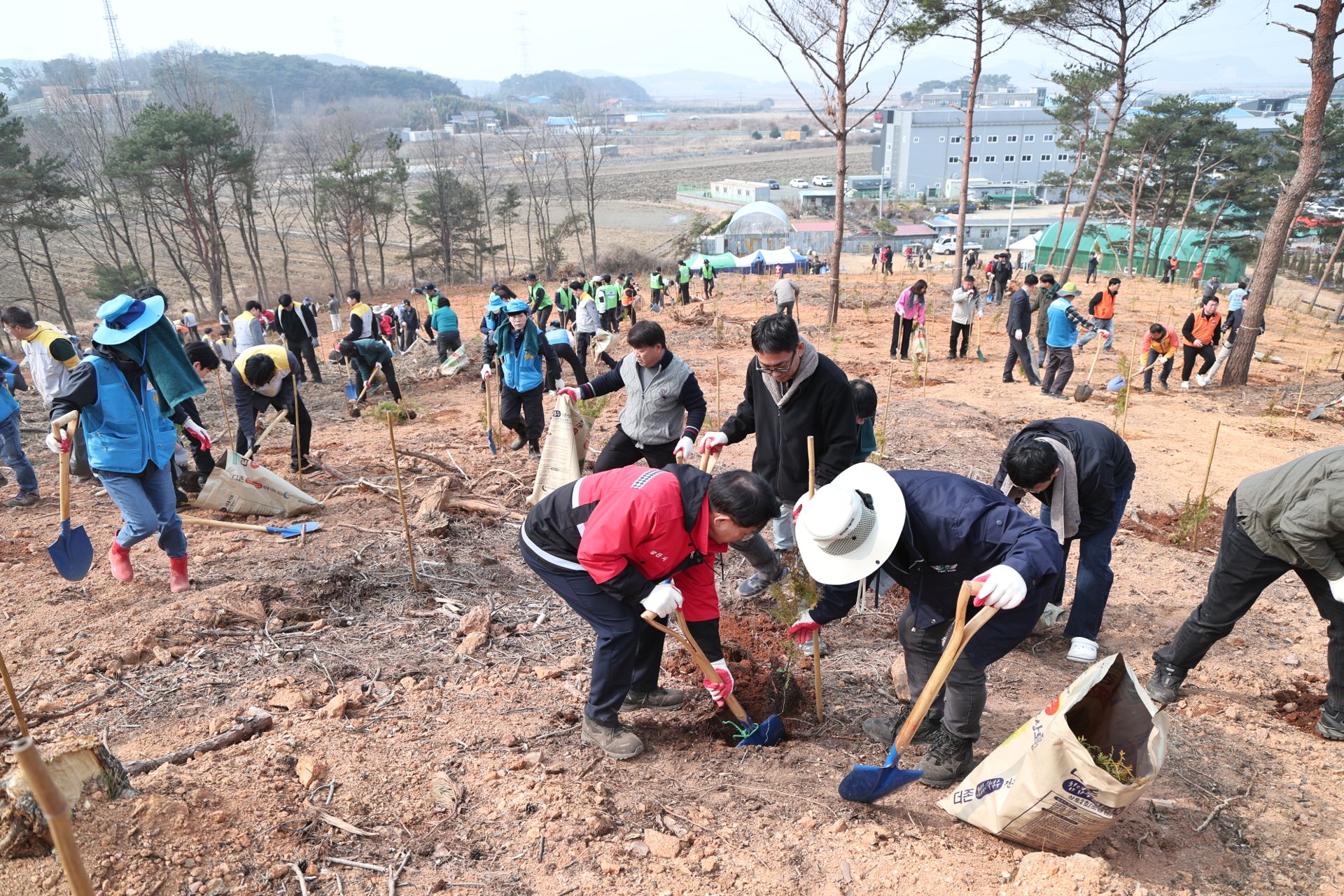 당진시, 제81회 식목일 기념 나무심기 행사 개최