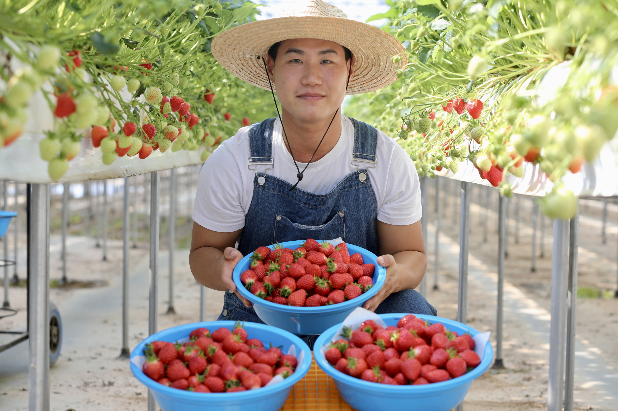당진시, 청년농업인 농산물 직거래 판로 확대 나선다