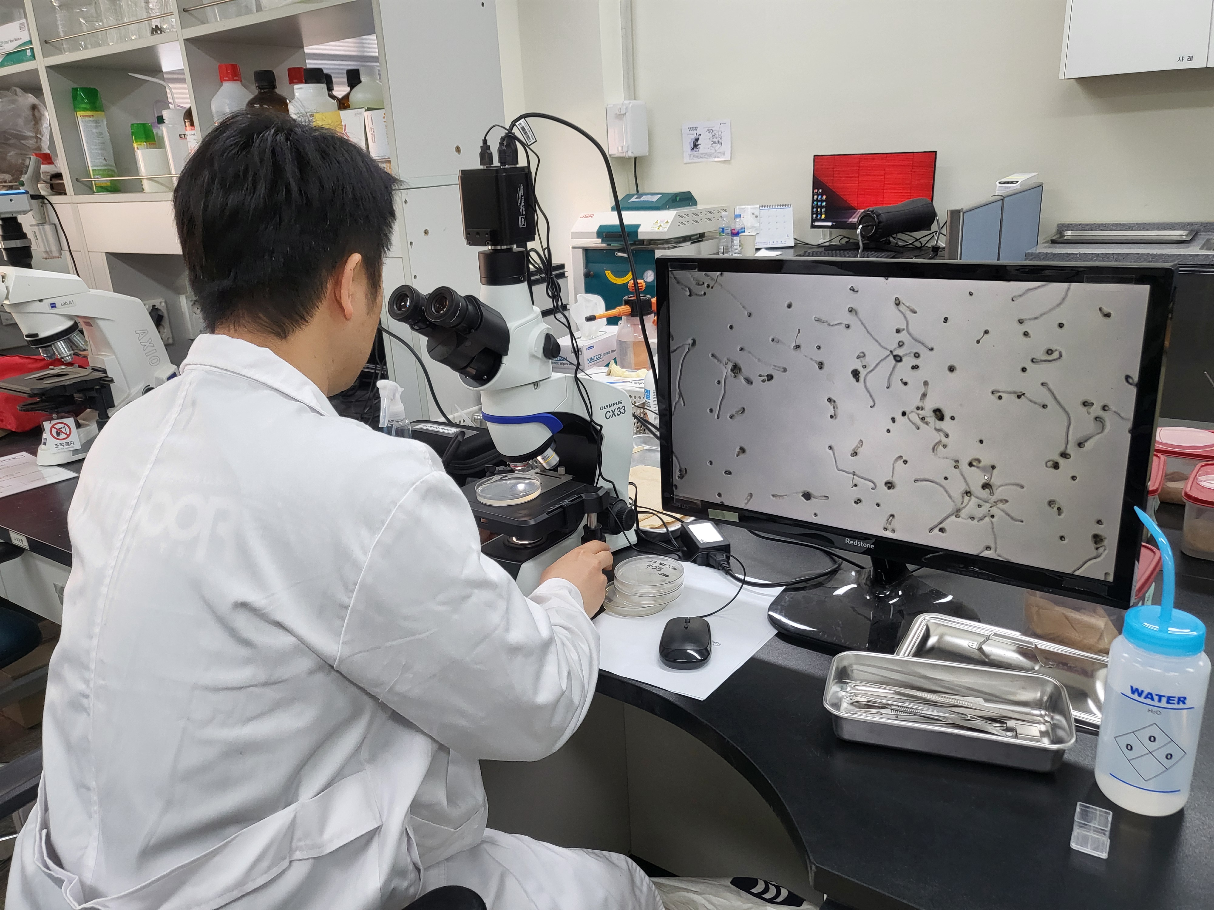 당진시, 꽃가루 발아율 검정 서비스 실시 이미지