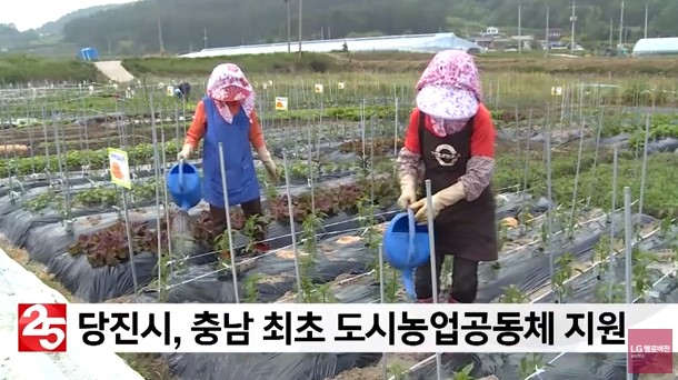 당진시, 충남 최초 도시농업공동체 지원
