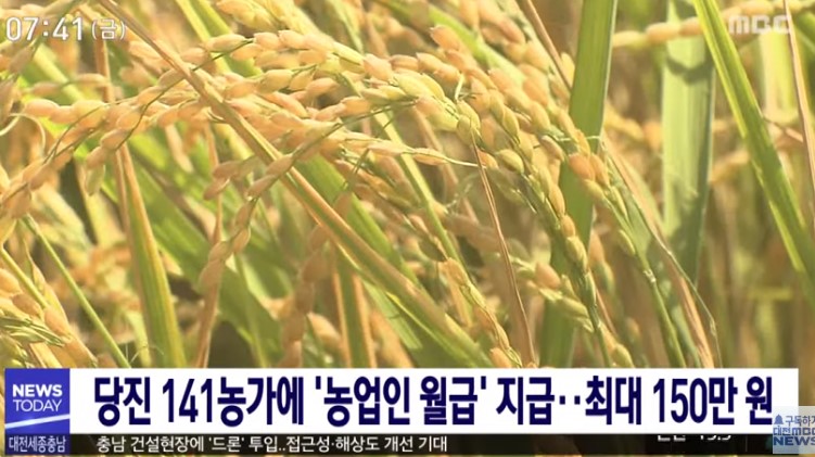 당진시, 올해 141농가에 농업인 월급제…최대 150만원/대전MBC_3.27.