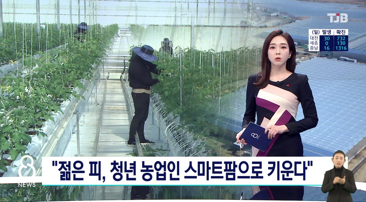 '젊은 피 청년 농업인 스마트팜으로 키운다' TJB 8시 뉴스_12. 22(화)