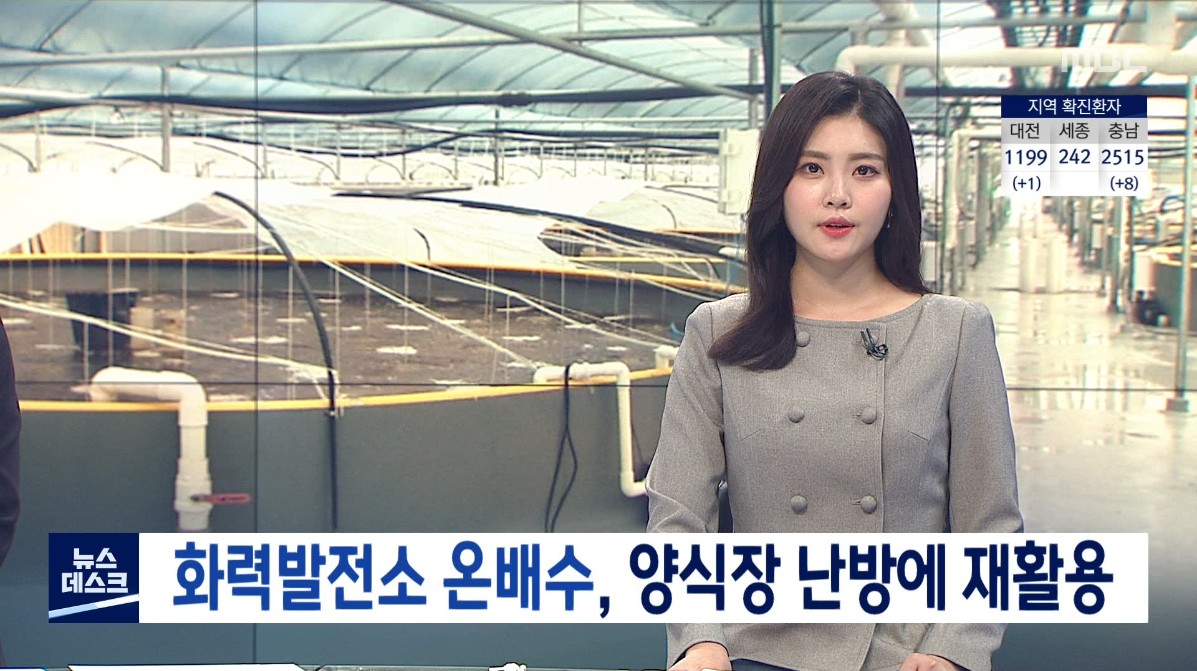 화력발전소 온배수, 양식장 난방에 재활용. MBC 뉴스데스크_3. 9.(화)