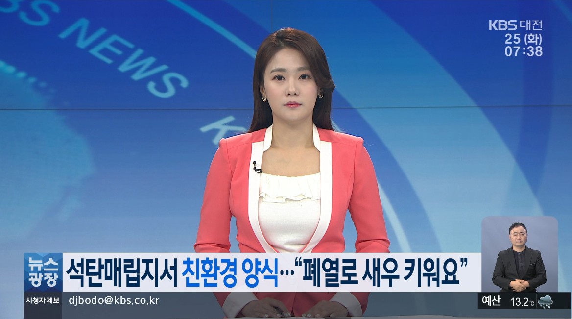 석탄매립지서 친환경 양식...'폐열로 새우 키워요'
