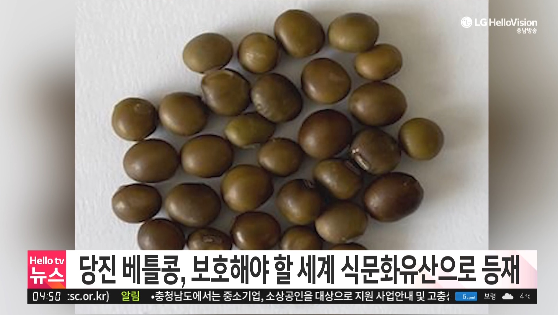 당진 베틀콩, 보호해야 할 세계 식문화유산으로 등재_충남방송뉴스보도_03.04