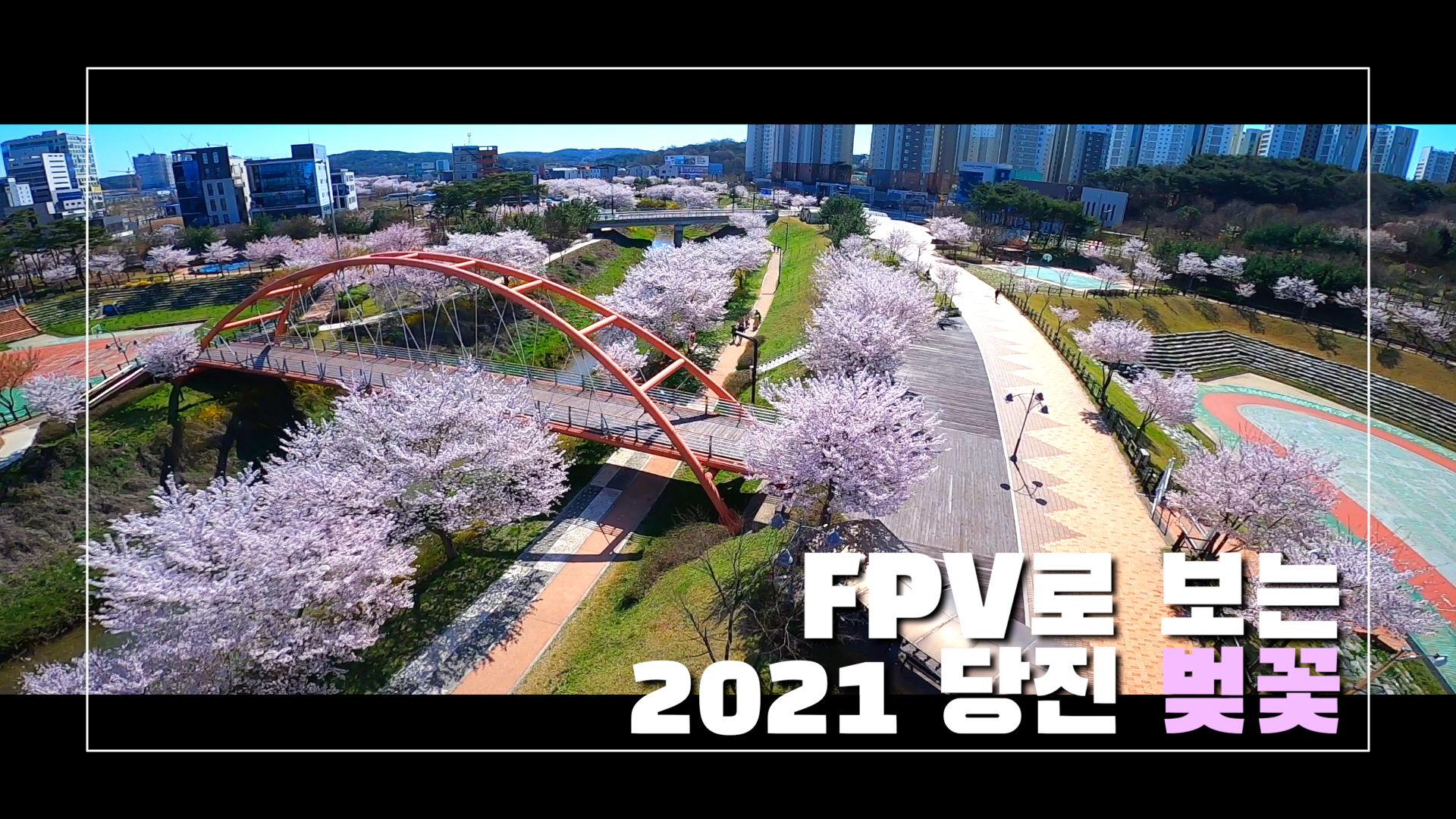FPV로 보는 2021년 당진 벚꽃 이미지