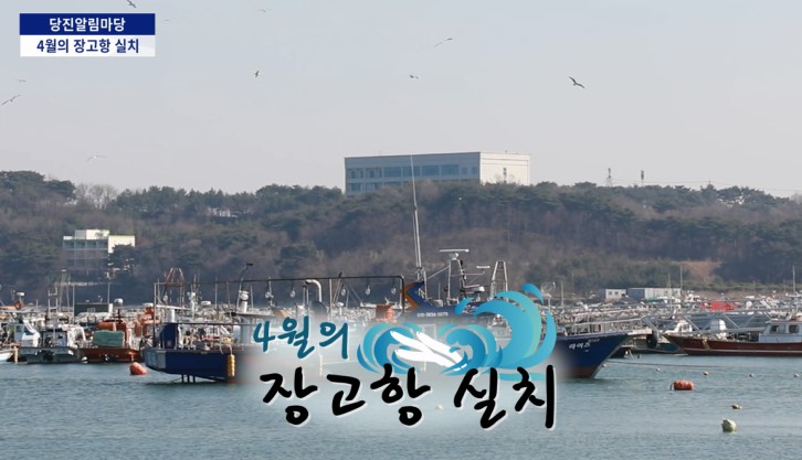 당진알림마당 - 9회 알림마당(장고항 실치 소개) 이미지