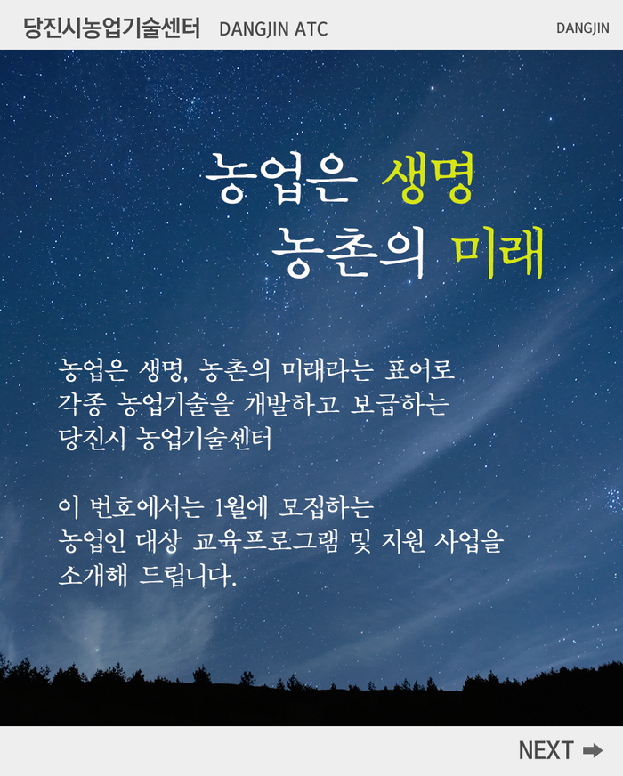 썸네일 세로 긴 사진 이미지